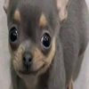 gabe_51