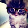 aynurr9_