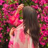 rimsha2337
