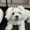 doudiyxlhcoyfou