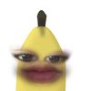 dumiunger