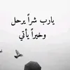 rr_ma80