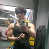 shankscrips