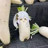 nanonnnny