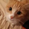 esther_qtq