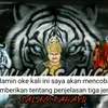 tuantakur515