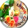 connieedwin