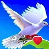 user9877802665185