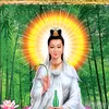 sui.tran