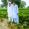 saudshahani1