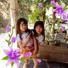 hng.thm2025