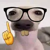 buoitokhonglo000