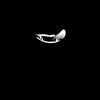 _laufan07_