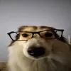 person.aliced
