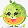 melon.delicieux