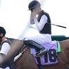 Turki A-ldosari🏇🏼