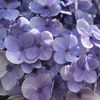 notmee0_8