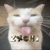 zxchi_xyz