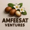 amfeesat.ventures