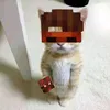dimbimch4