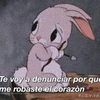tajtaj18gato