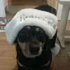 tuukka.0