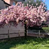tiktok.comnadia74
