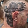 viking_powered