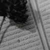 asmaahamdy656
