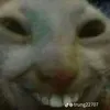 bumthui318