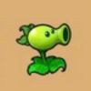 🟢Peashooter🟢