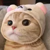 meo.meo__4