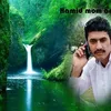 hamidmomand392