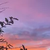 ilymi3_