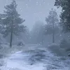 Tuyết Rơi Mùa Hạ ❄