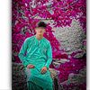 shafijan824