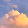 fvcgfiya