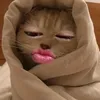 dimokilalakasisecret_