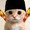 nartoo_o