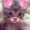yumismith01