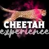 cheetahexperience_