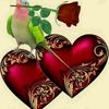 fawad_nizami