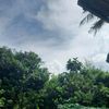 cicakcicak2822