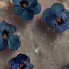 asna_1821