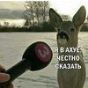 ruslan123479