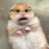 tsun_206