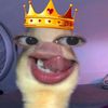 pirannhaha