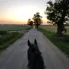 o.skrzypczakk_11