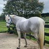 macy_032