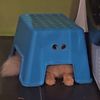 replicatedcat
